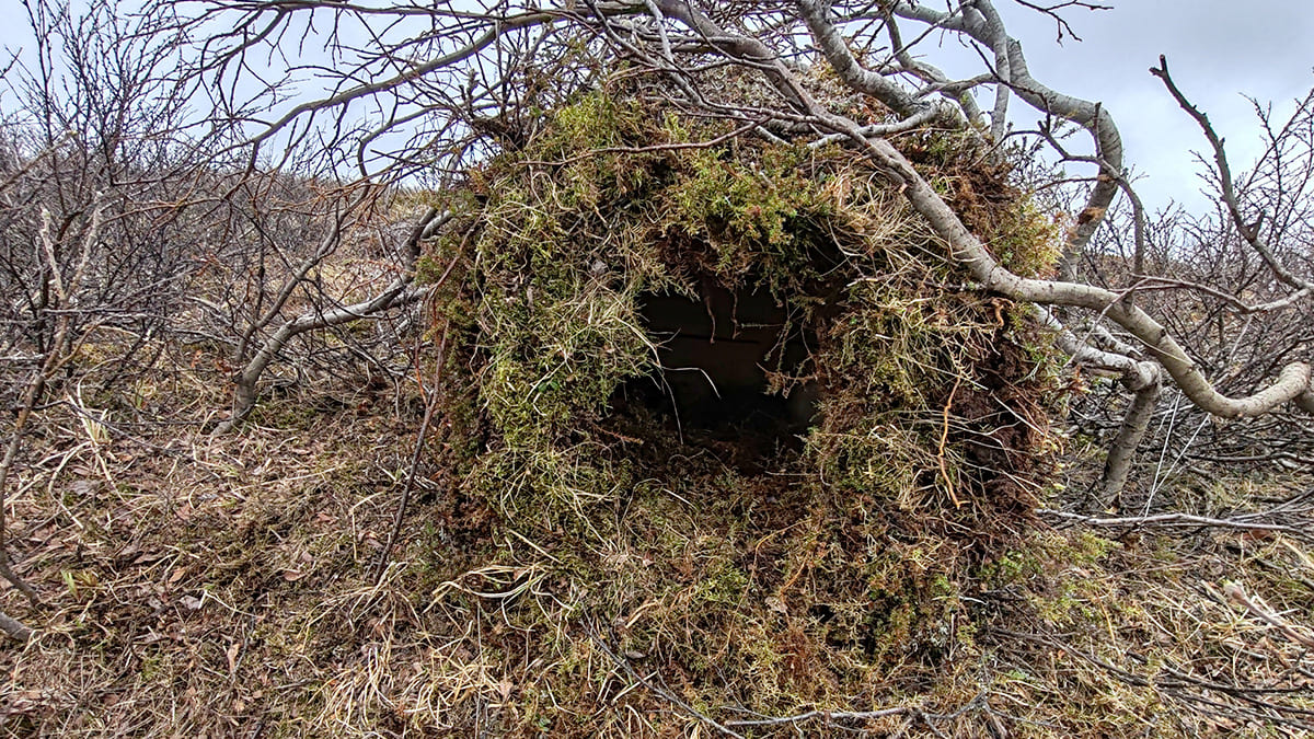 Домики для птиц. Фото 1.